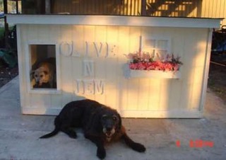 Olive and Jem - Oregon